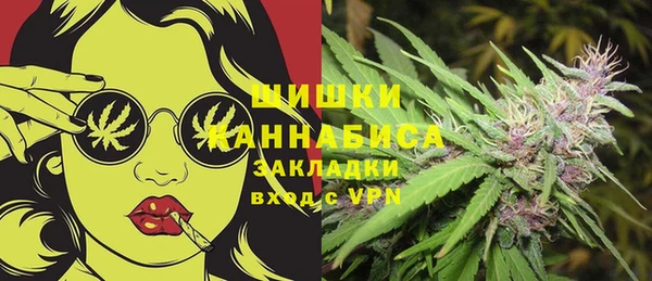 бошки Алексин