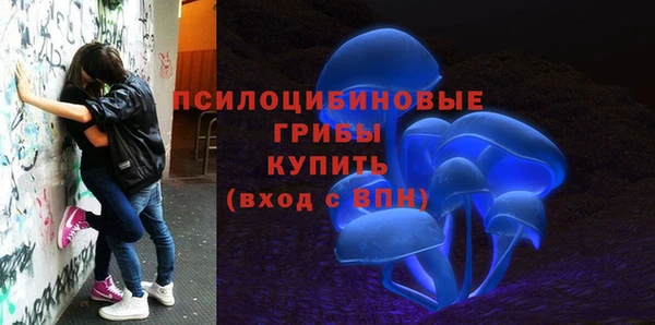 бошки Алексин
