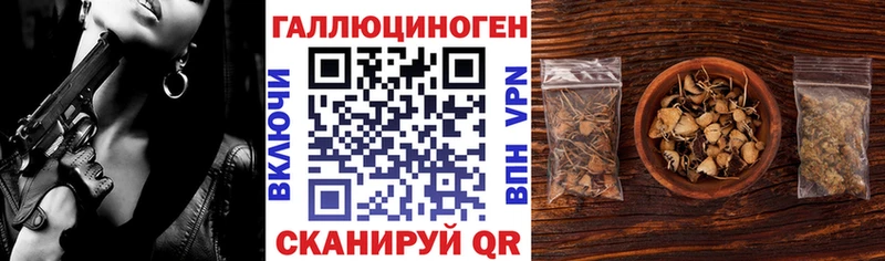 закладка  Безенчук  Галлюциногенные грибы MAGIC MUSHROOMS 